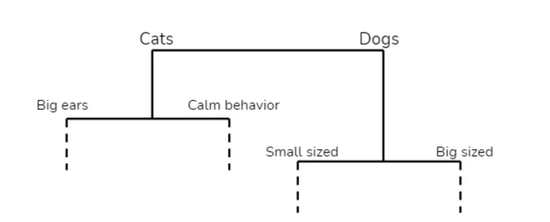 a tree splitting cats and dogs, then by ears, behaviour and size