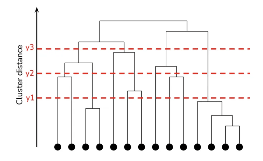 a dendrogram cut at three heights y1, y2, y3
