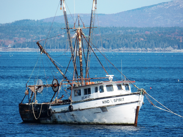 boat