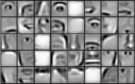 Second-layer features: eyes, noses, mouths