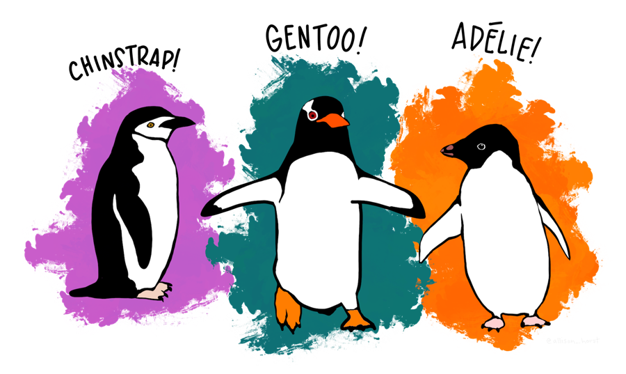Drawings of a Chinstrap, a Gentoo and an Adelie penguin